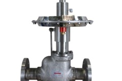 valve8